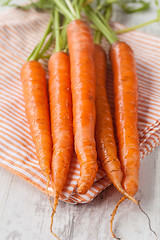 Image showing Fresh carrots