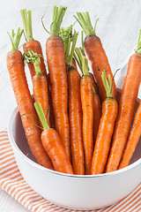 Image showing Fresh carrots