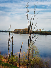 Image showing riverbank