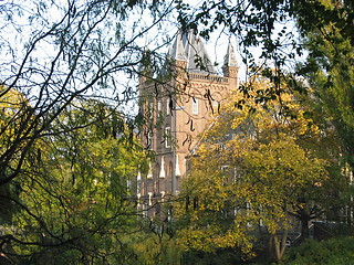 Image showing house hidden behind trees