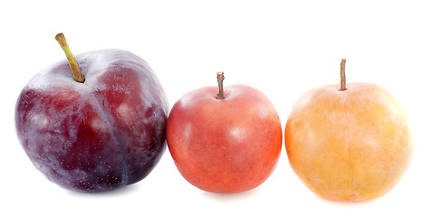 Image showing three plums