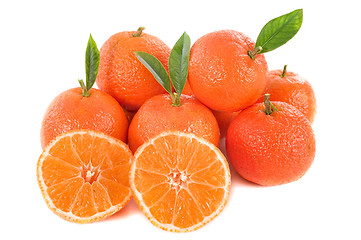 Image showing tangerines