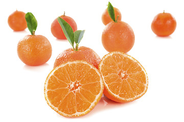 Image showing tangerines