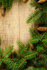 Image showing christmas fir tree with pinecones 