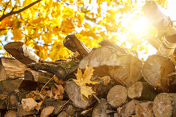 Image showing wood in pile outdoor with sunlight