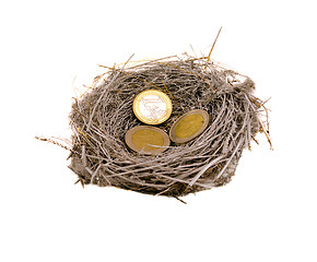 Image showing silver bird nest and euro coins money on white 