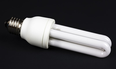 Image showing Energy Efficient Lightbulb