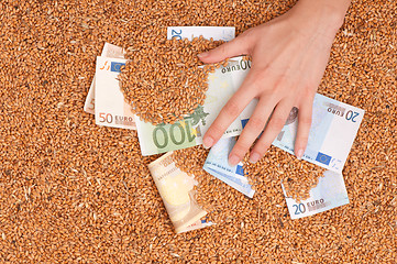 Image showing Monetary crop