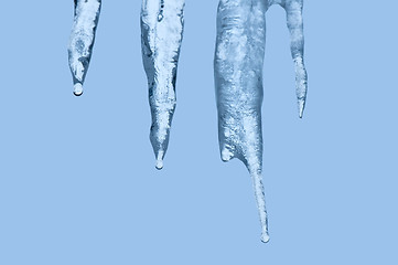 Image showing icicles