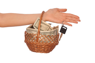 Image showing basket with money