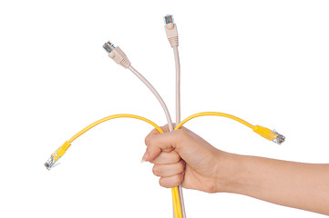 Image showing LAN cords