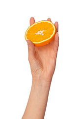 Image showing Orange