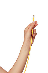 Image showing yellow LAN cord