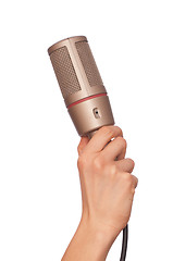 Image showing big microphone