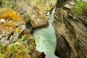 Image showing Athabasca Falls