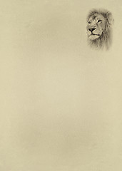 Image showing Sepia Toned Lion Face with Text Page