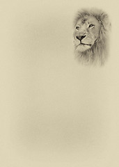 Image showing Sepia Toned Large Lion Face with Text Page