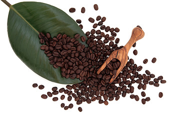 Image showing Coffee Beans