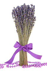 Image showing Lavender Herb Flowers