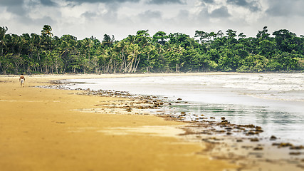 Image showing mission beach Australia