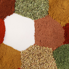 Image showing Colorful spices and herbs