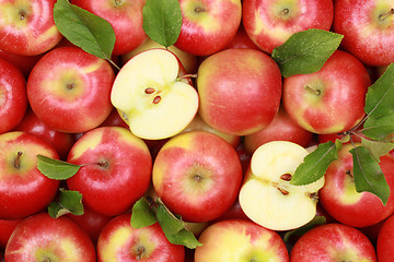 Image showing Red apples with leaves