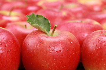 Image showing Red apples