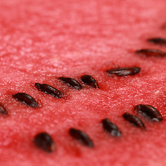 Image showing Close-up of a ripe watermelon