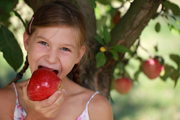 Image showing Young girl eating an apple