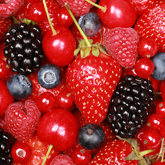 Image showing Collection of berries