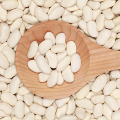 Image showing White beans on a wooden spoon