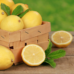 Image showing Lemons