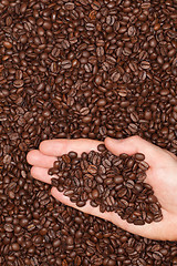 Image showing Coffee beans on a human hand