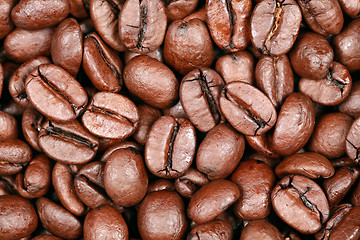 Image showing Coffee beans background