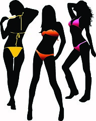 Image showing Bikini girls silhouette - vector