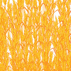 Image showing Wheat summer background