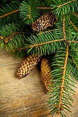 Image showing christmas fir tree with pinecones