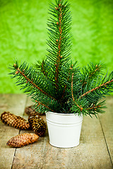 Image showing christmas fir tree and pinecones