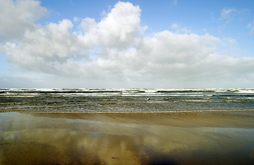 Image showing Beach Scene