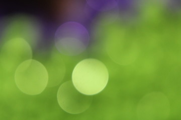 Image showing Green Sequin Blur