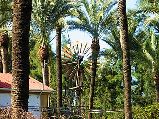 Image showing Palm trees and windmills. Nicosia. Cyprus