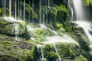 Image showing Tasmanian Waterfall