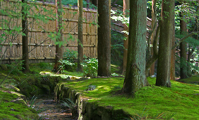 Image showing Japanese garden