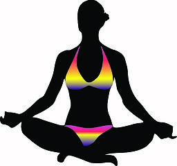 Image showing Bikini woman silhouette