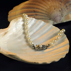 Image showing seashell and pearl necklace