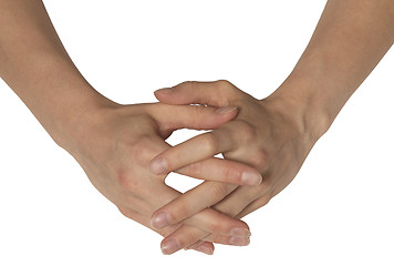 Image showing two feminine hands