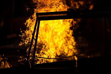 Image showing Beef roasting on a spit