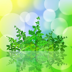 Image showing Green spring background with leafage and blurry light