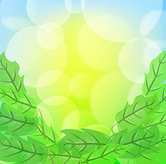 Image showing Green spring background with leafage and blurry light