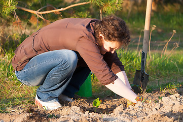 Image showing pretty woman in garden